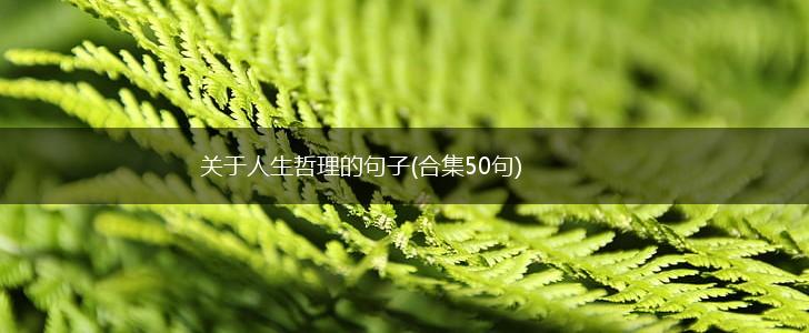 关于人生哲理的句子(合集50句),第1张