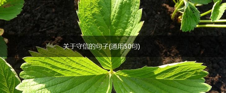 关于守信的句子(通用50句),第1张
