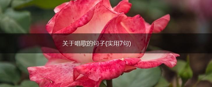 关于唱歌的句子(实用7句),第1张