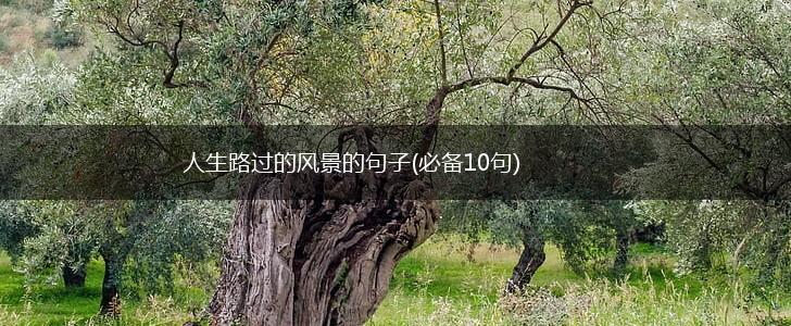 人生路过的风景的句子(必备10句),第1张