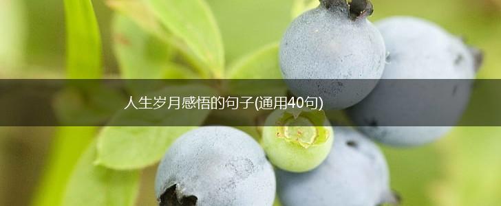 人生岁月感悟的句子(通用40句),第1张