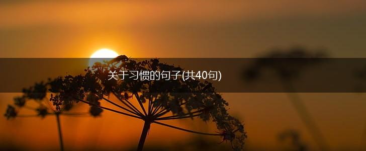 关于习惯的句子(共40句),第1张