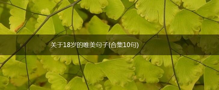 关于18岁的唯美句子(合集10句),第1张
