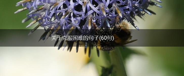 关于克服困难的句子(60句),第1张