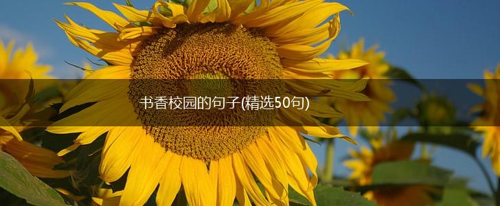书香校园的句子(精选50句),第1张