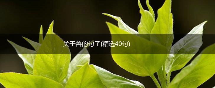 关于善的句子(精选40句),第1张