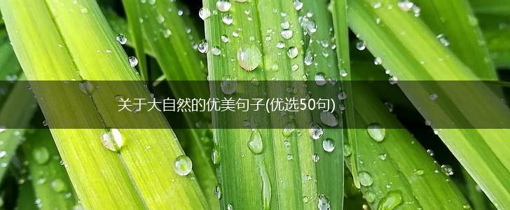 关于大自然的优美句子(优选50句),第1张