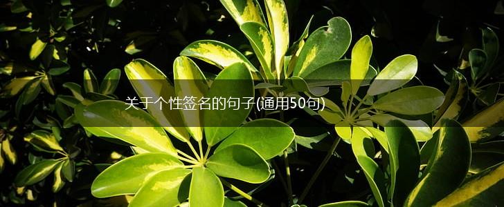 关于个性签名的句子(通用50句),第1张