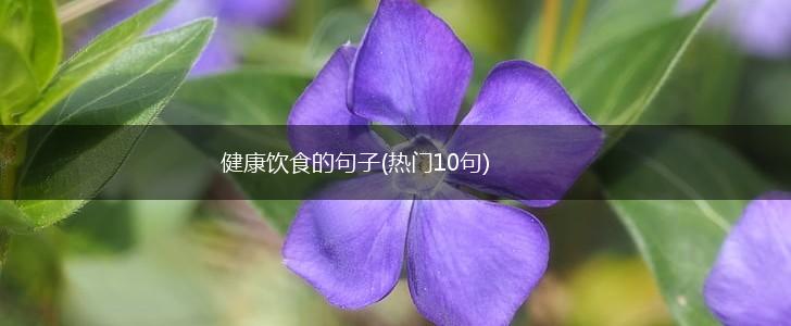 健康饮食的句子(热门10句),第1张