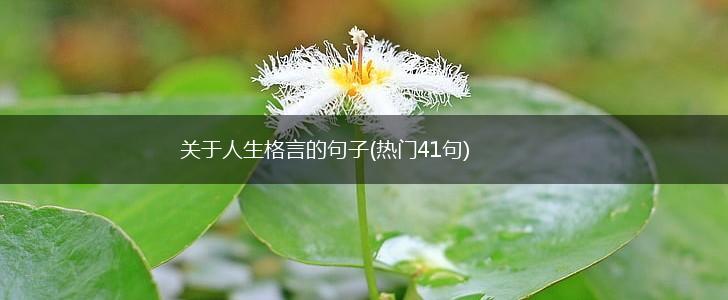 关于人生格言的句子(热门41句),第1张
