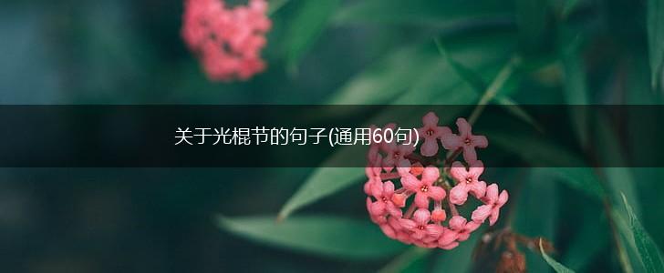 关于光棍节的句子(通用60句),第1张