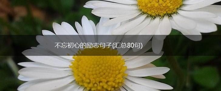不忘初心的励志句子(汇总80句),第1张