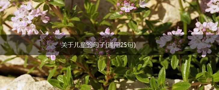 关于儿童的句子(通用25句),第1张