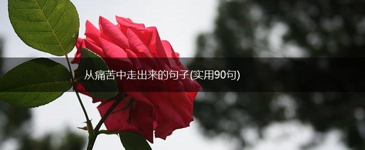 从痛苦中走出来的句子(实用90句),第1张