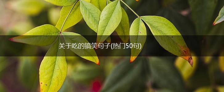 关于吃的搞笑句子(热门50句),第1张