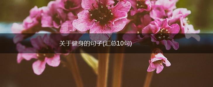 关于健身的句子(汇总10句),第1张