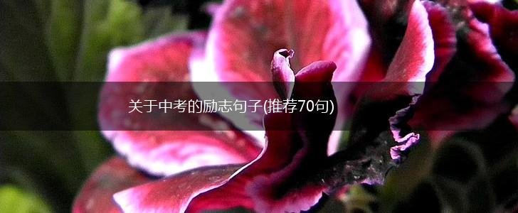 关于中考的励志句子(推荐70句),第1张