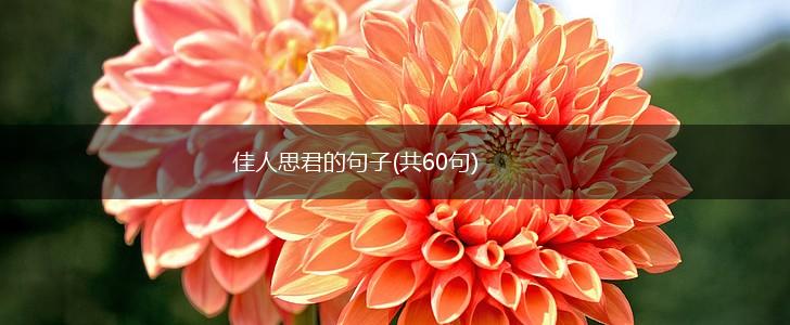 佳人思君的句子(共60句),第1张
