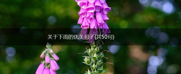 关于下雨的优美句子(共50句),第1张