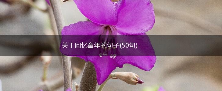 关于回忆童年的句子(50句),第1张