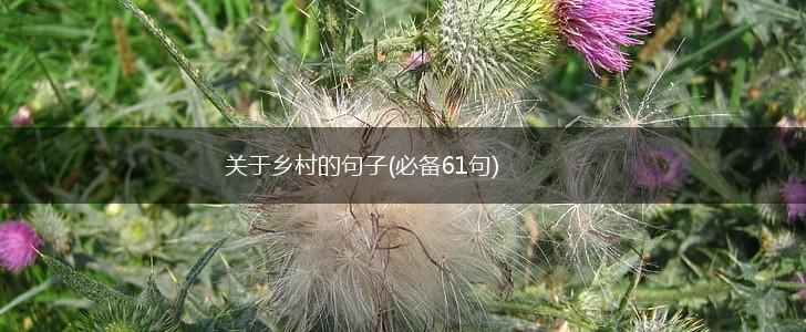 关于乡村的句子(必备61句),第1张