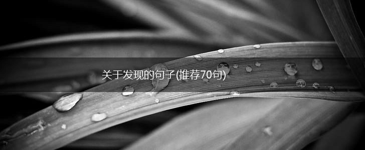 关于发现的句子(推荐70句),第1张