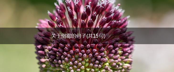 关于倒霉的句子(共15句),第1张