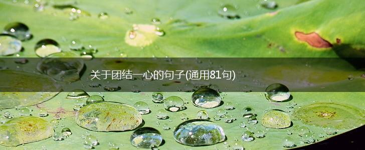 关于团结一心的句子(通用81句),第1张