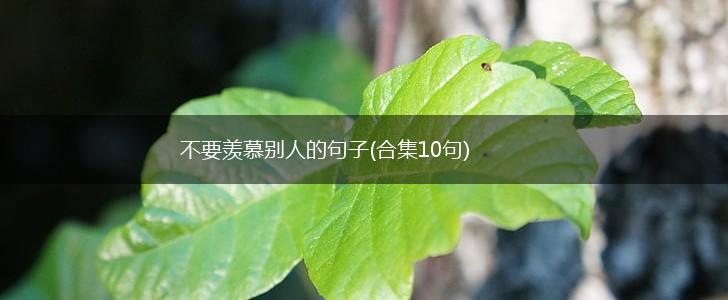 不要羡慕别人的句子(合集10句),第1张