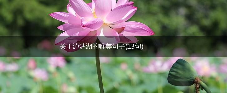 关于泸沽湖的唯美句子(13句),第1张