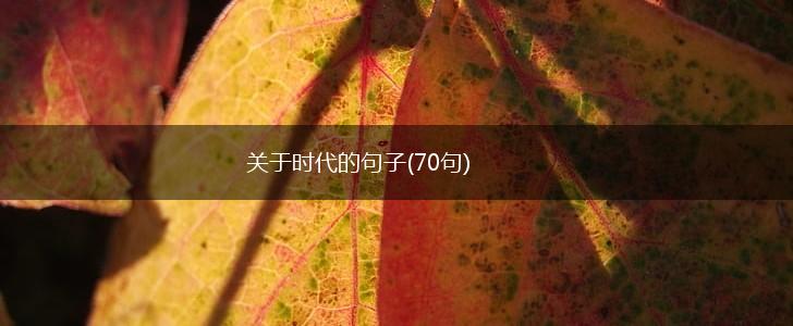 关于时代的句子(70句),第1张