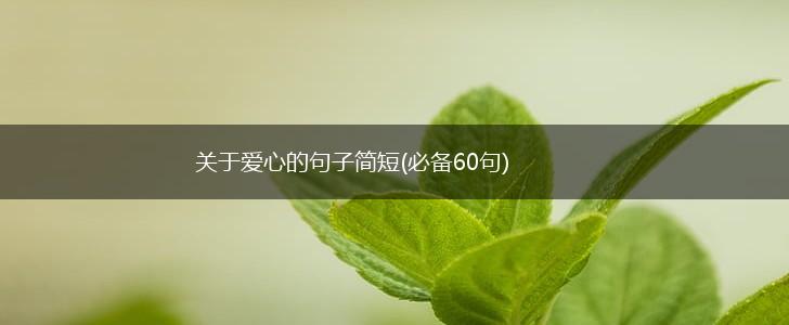 关于爱心的句子简短(必备60句),第1张