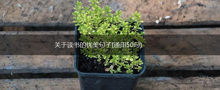 关于读书的优美句子(通用50句),第1张