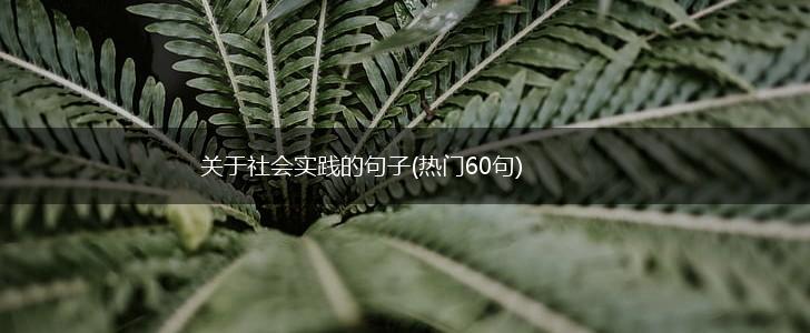 关于社会实践的句子(热门60句),第1张