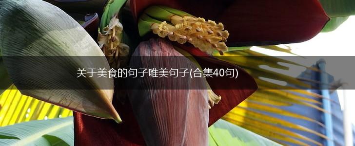 关于美食的句子唯美句子(合集40句),第1张