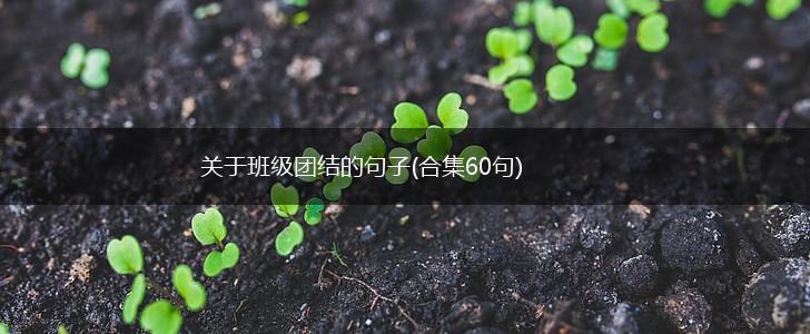 关于班级团结的句子(合集60句),第1张