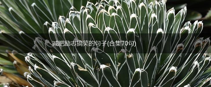 减肥励志搞笑的句子(合集70句),第1张
