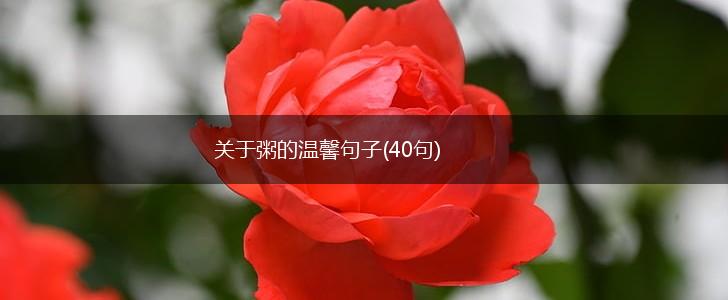 关于粥的温馨句子(40句),第1张