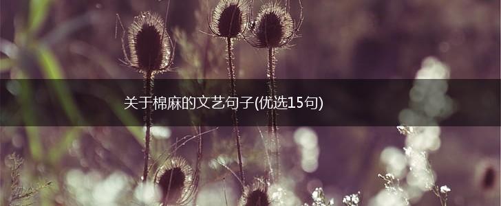 关于棉麻的文艺句子(优选15句),第1张