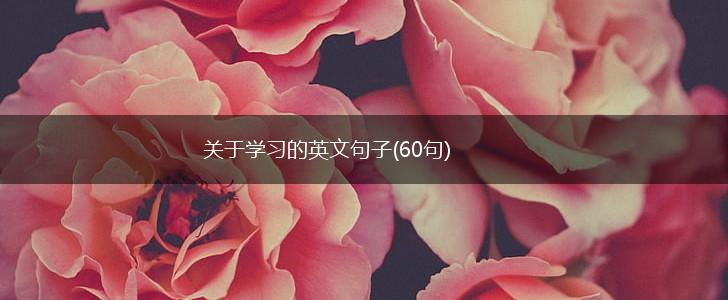 关于学习的英文句子(60句),第1张