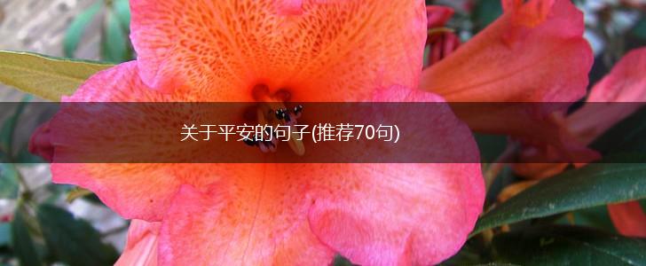 关于平安的句子(推荐70句),第1张