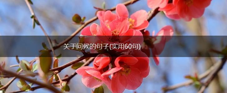 关于问候的句子(实用60句),第1张