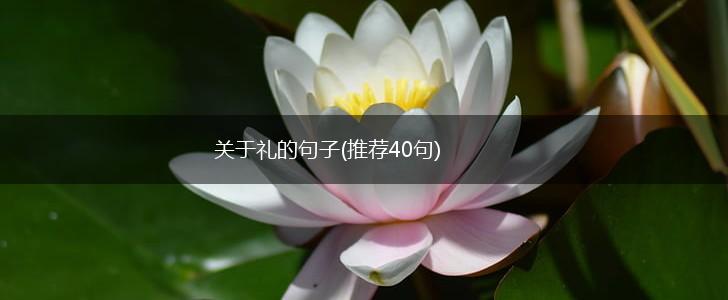 关于礼的句子(推荐40句),第1张