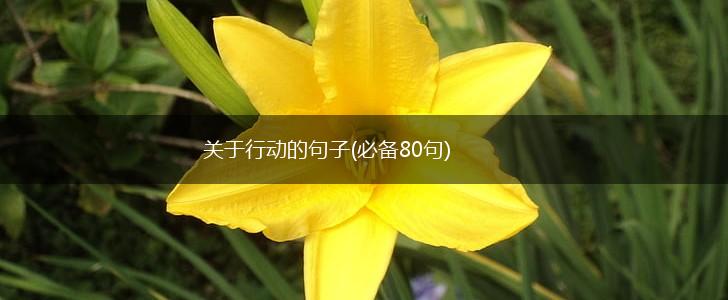 关于行动的句子(必备80句),第1张