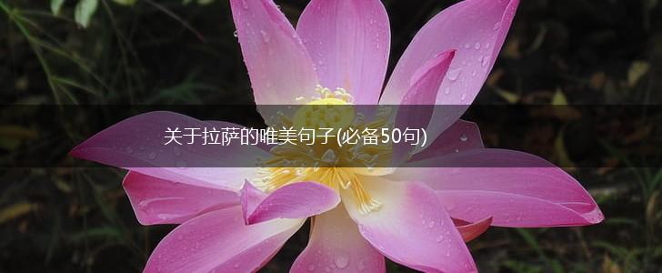 关于拉萨的唯美句子(必备50句),第1张