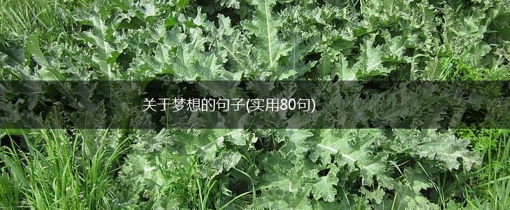 关于梦想的句子(实用80句),第1张