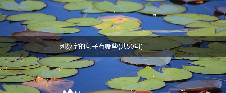 列数字的句子有哪些(共50句),第1张