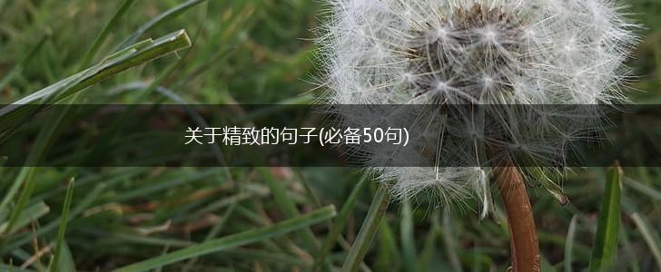 关于精致的句子(必备50句),第1张