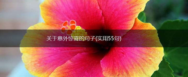 关于意外惊喜的句子(实用55句),第1张