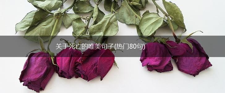 关于死亡的唯美句子(热门80句),第1张